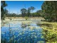 Lot 3 Antill Road, Burgowan QLD 4659