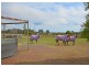 7 Sanctuary Hills Road, Takura QLD 4655