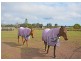 7 Sanctuary Hills Road, Takura QLD 4655
