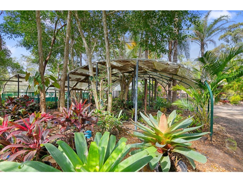 36 Raward Road, Wondunna QLD 4655