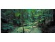 Lot 14 Eastern Forest 3, Kingfisher Bay Village, Fraser Island QLD 4581