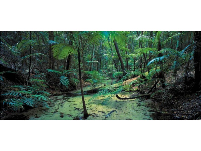 Lot 14 Eastern Forest 3, Kingfisher Bay Village, Fraser Island QLD 4581