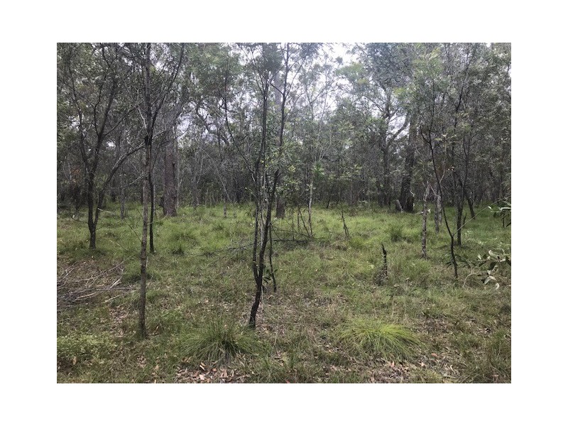 28 Pacific Haven Circuit, Pacific Haven QLD 4659