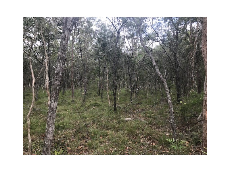 28 Pacific Haven Circuit, Pacific Haven QLD 4659
