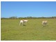 789 Burrum Heads Road, Burrum River QLD 4659