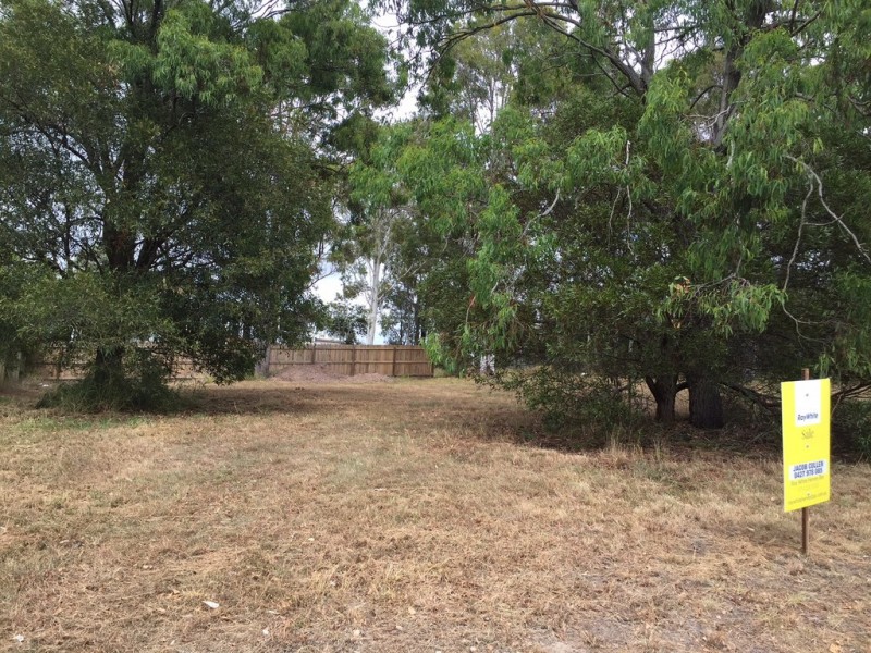 53 Petrel Avenue, River Heads QLD 4655
