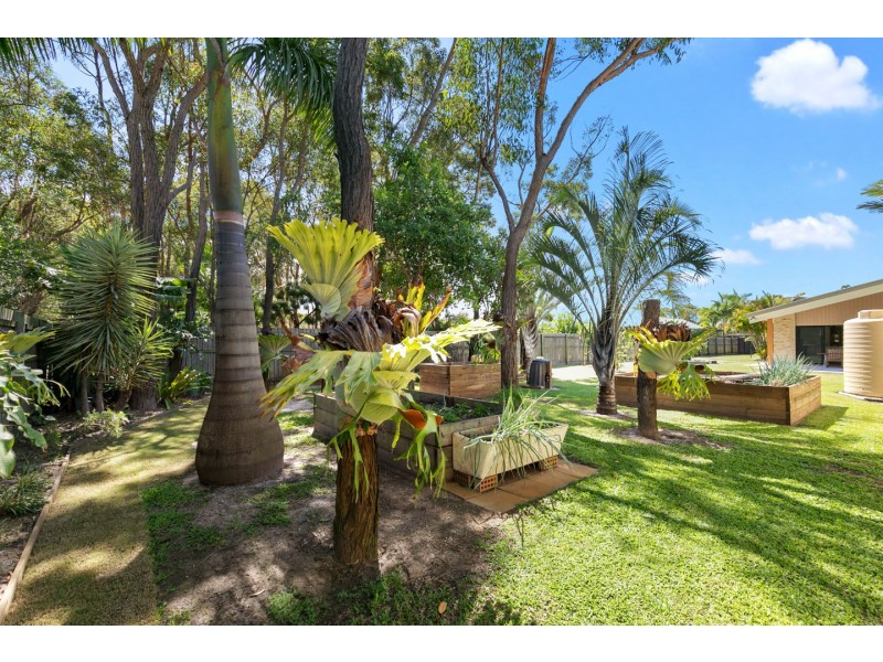 19 Amstal Avenue, Wondunna QLD 4655