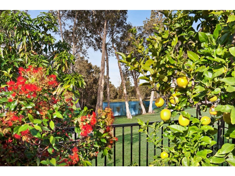 5 Cockle Court, Burrum Heads QLD 4659