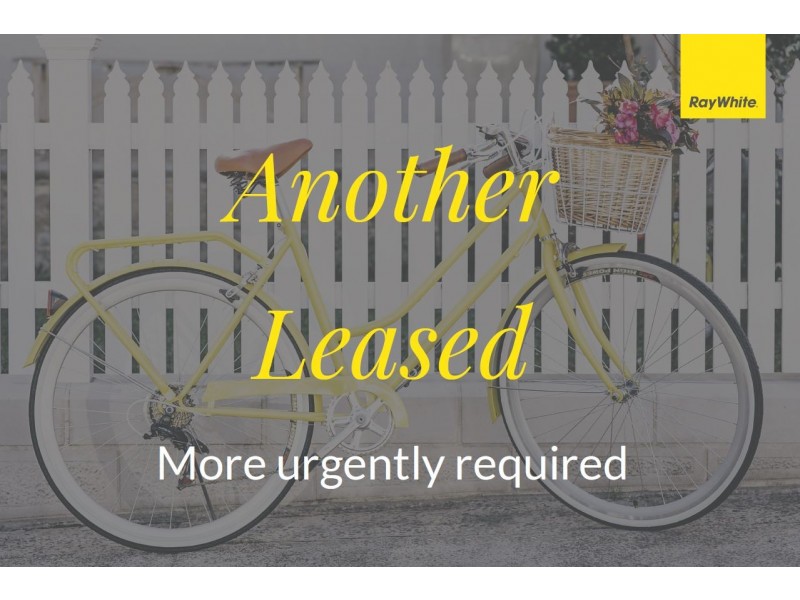 1/4 Senor Ave, Urangan QLD 4655