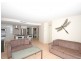 6/558-559 Esplanade, Urangan QLD 4655