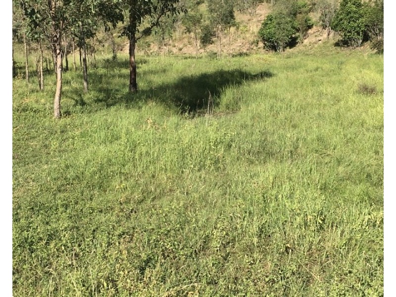 Lot 58 Isis Highway, Dallarnil QLD 4621