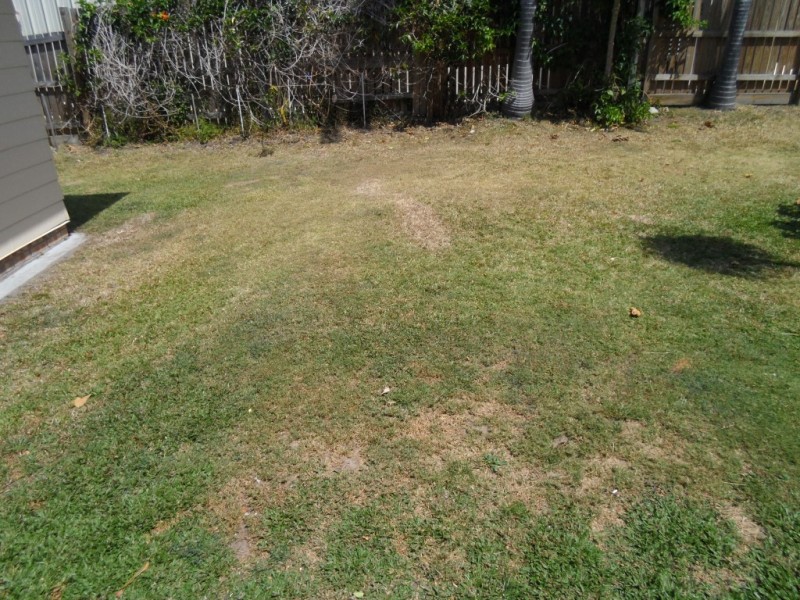 9 Barry Street, Torquay QLD 4655