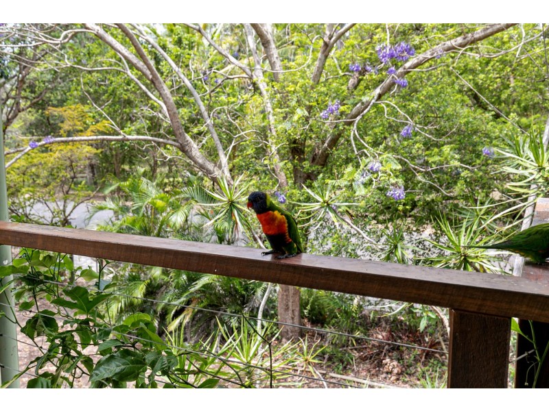 1 Pacific Promenade, Craignish QLD 4655