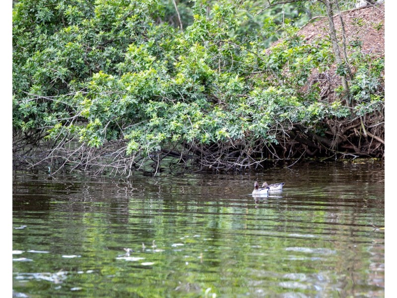 28-32 Panorama Drive, Dundowran Beach QLD 4655