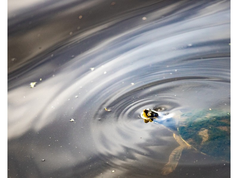 28-32 Panorama Drive, Dundowran Beach QLD 4655