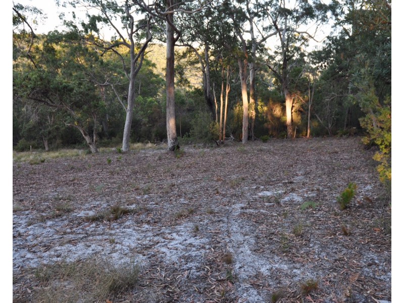 Lot 15 Eastern Forest, Fraser Island QLD 4581