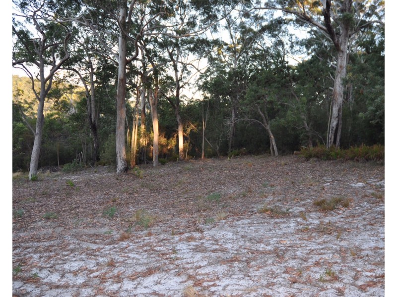 Lot 15 Eastern Forest, Fraser Island QLD 4581