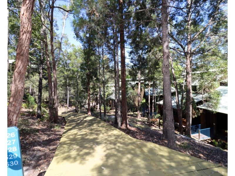 Banksia 527 Kingfisher Bay Resort, Fraser Island QLD 4581