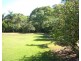 71 Urangan Street, Torquay QLD 4655