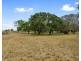 3151 Maryborough Hervey Bay Road, Walligan QLD 4655