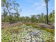 52 Pacific Haven Circuit, Pacific Haven QLD 4659