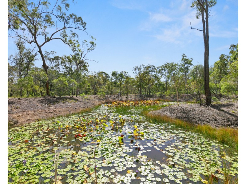52 Pacific Haven Circuit, Pacific Haven QLD 4659