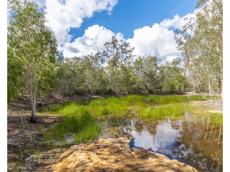 7 Ranch Park Drive, Pacific Haven QLD 4659