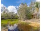 7 Ranch Park Drive, Pacific Haven QLD 4659