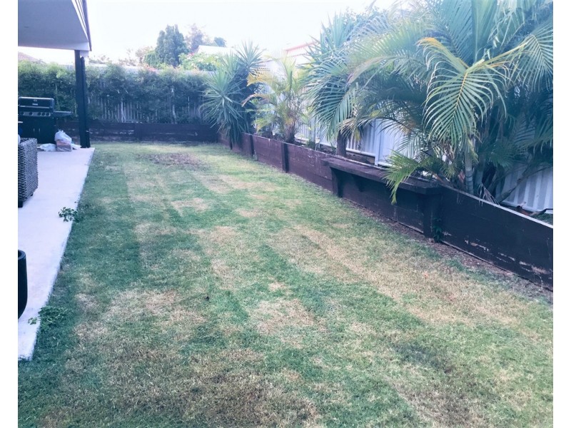 24 Corfield Street, Point Vernon QLD 4655