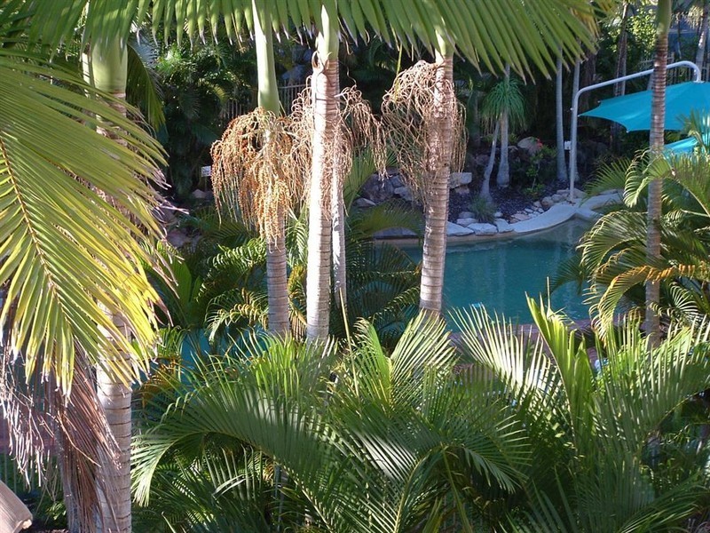 326/386 Esplanade, Torquay QLD 4655