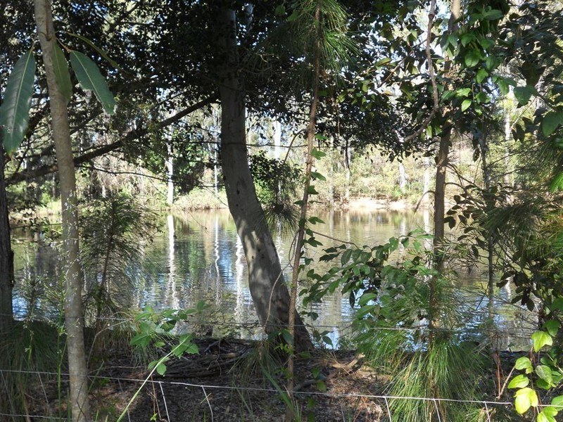 16 Ferris Avenue, River Heads QLD 4655