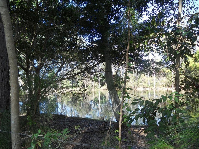 16 Ferris Avenue, River Heads QLD 4655