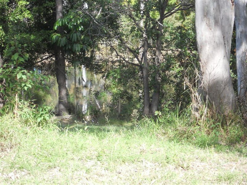 16 Ferris Avenue, River Heads QLD 4655