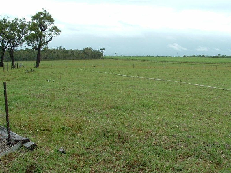 Bunya Creek QLD 4655