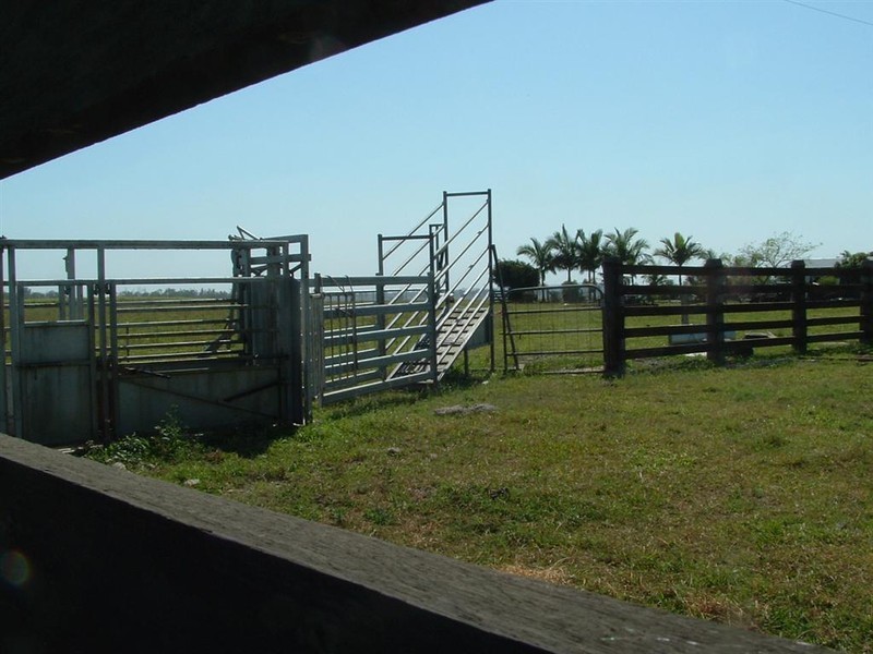 Bunya Creek QLD 4655