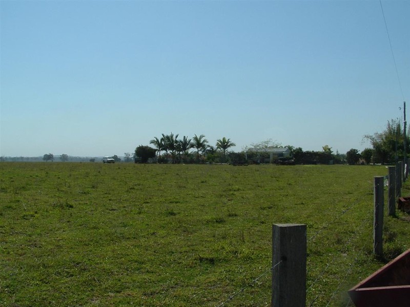 Bunya Creek QLD 4655