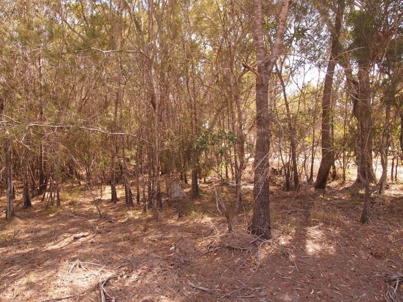 38 Ti Tree Rd East, Booral NSW 2425