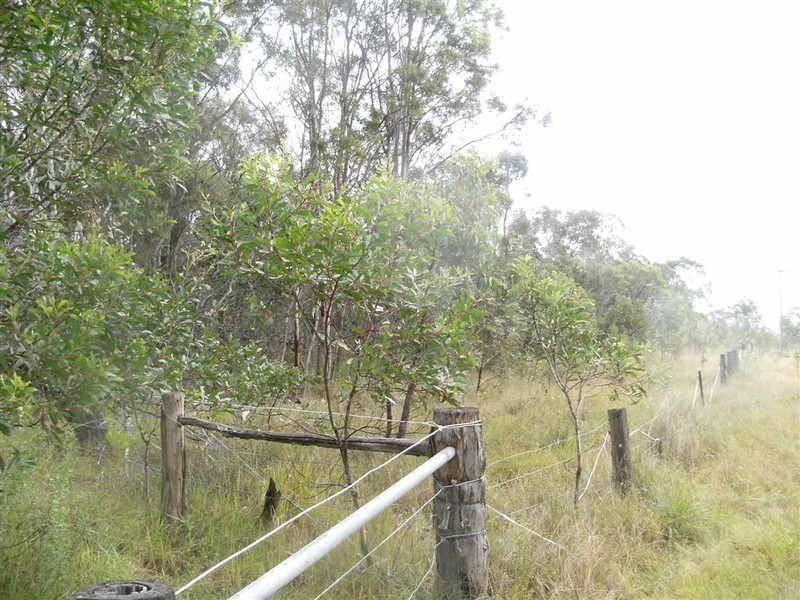 1395 Booral Road, Sunshine Acres QLD 4655