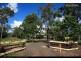 343 Condor Drive, Sunshine Acres QLD 4655