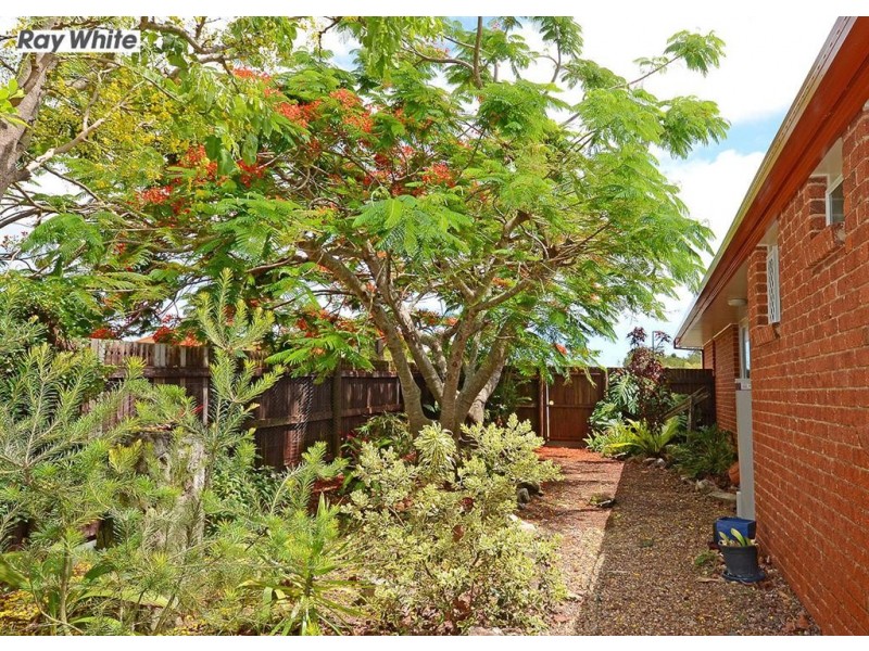 1 Honeysuckle Avenue, Kawungan QLD 4655