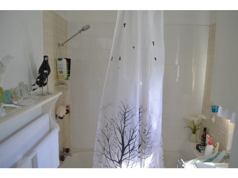 15A and 15B Murphy Street, Point Vernon QLD 4655