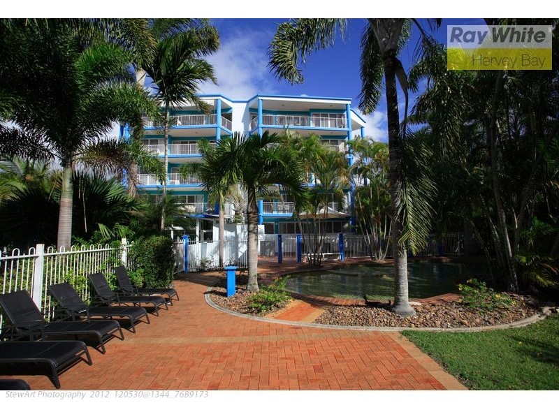 111/397 Charlton Esplanade, Torquay QLD 4655