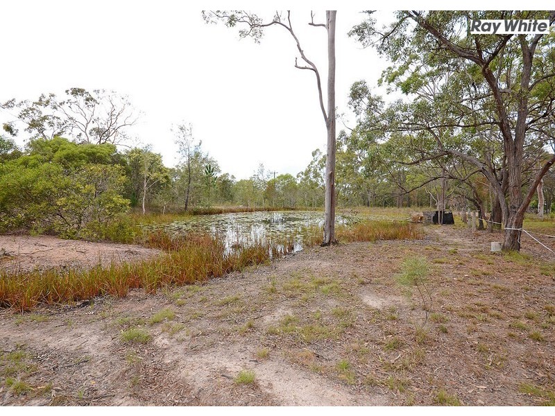 55 Dundowran Road, Walligan QLD 4655
