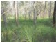293 The Yachtsmans Drive, Burrum River QLD 4659