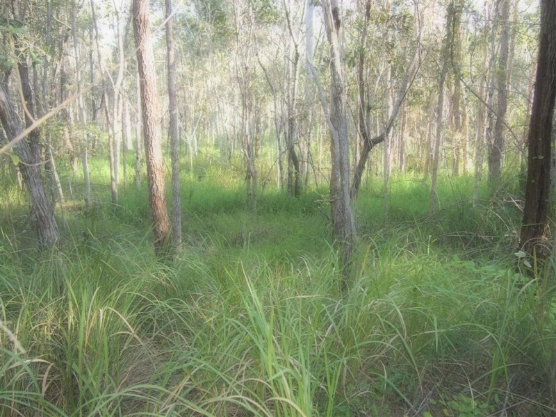 293 The Yachtsmans Drive, Burrum River QLD 4659