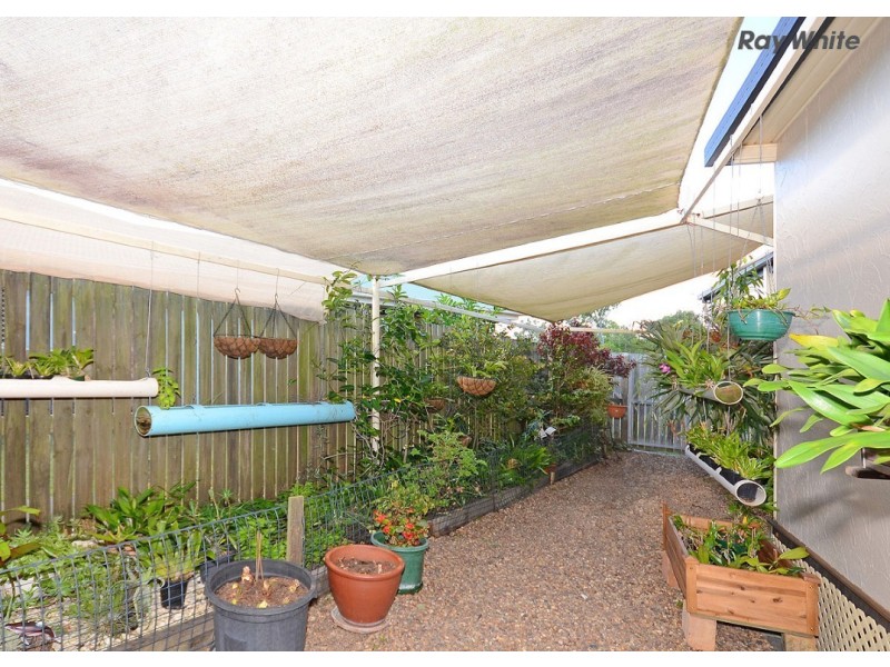 8 Shoreline Court, Urangan QLD 4655