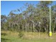17 Wallsend Street, Burrum Town QLD 4659