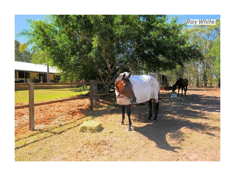 292 Bingham Road, Booral QLD 4655