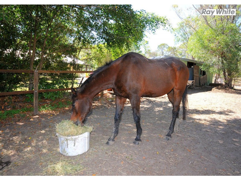 292 Bingham Road, Booral QLD 4655