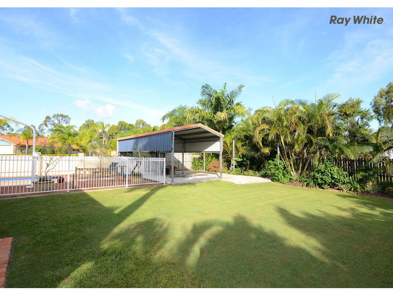 11 Bowerbird Avenue, Eli Waters QLD 4655